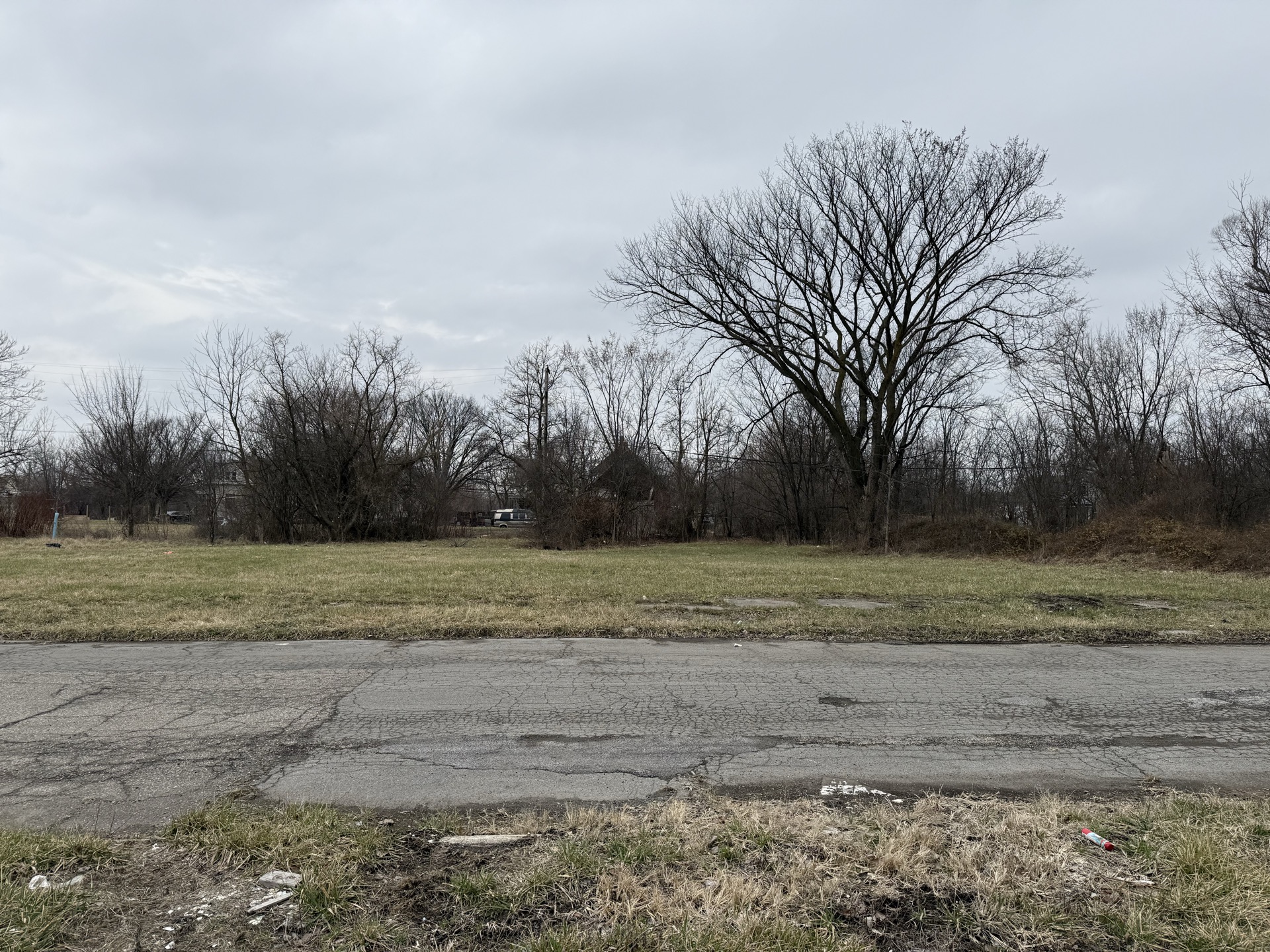 Street view of 25th Street lots, Detroit — March 22, 2026