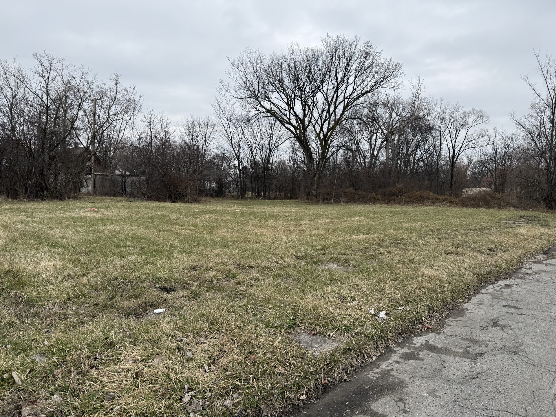 Street-level view showing tree line